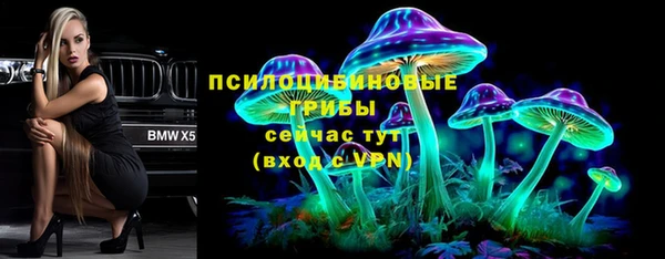 PSILOCYBIN Вязьма