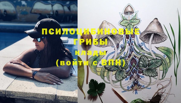 PSILOCYBIN Вязьма