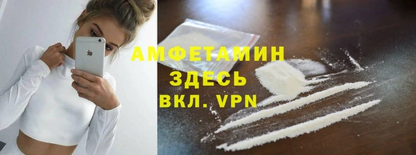 хмурый Вяземский