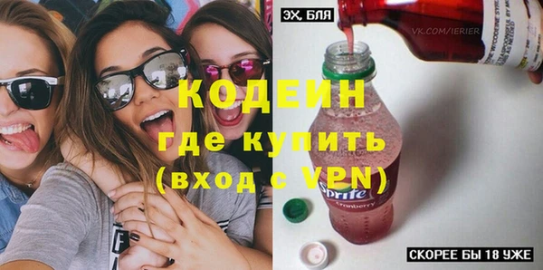 хмурый Вяземский