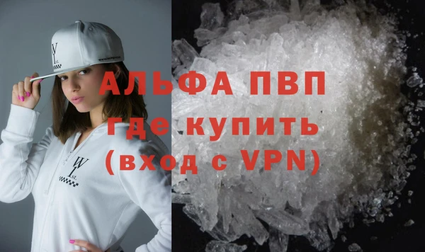 PSILOCYBIN Вязьма